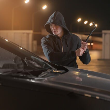 Venta de Película de Seguridad